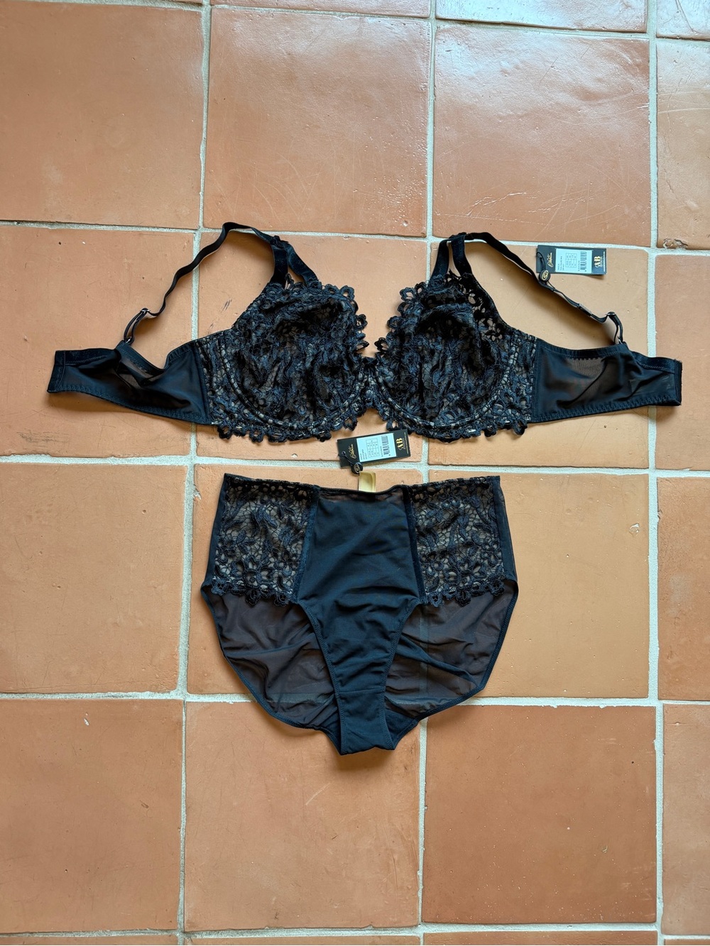 Dita Von Teese Black Lace Bra 42E & High Waist Brief XL NWT